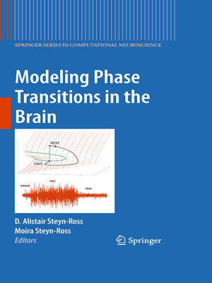 cover image of Modeling Phase Transitions in the Brain